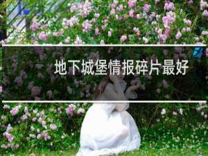 地下城堡情报碎片最好