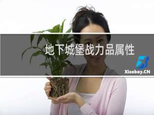 地下城堡战力品属性