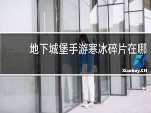 地下城堡手游寒冰碎片在哪