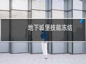 地下城堡技能冻结