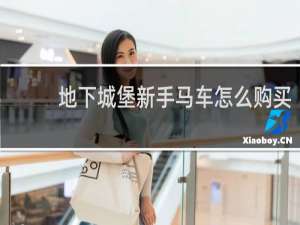 地下城堡新手马车怎么购买
