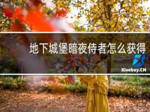 地下城堡暗夜侍者怎么获得