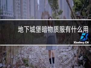 地下城堡暗物质服有什么用