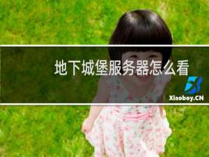 地下城堡服务器怎么看