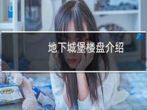 地下城堡楼盘介绍