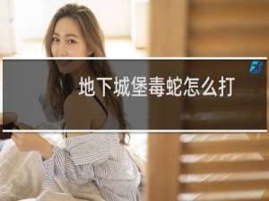 地下城堡毒蛇怎么打