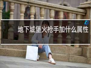 地下城堡火枪手加什么属性