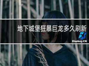 地下城堡狂暴巨龙多久刷新