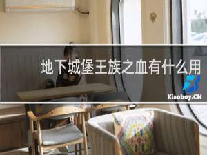 地下城堡王族之血有什么用