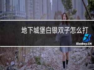 地下城堡白银双子怎么打