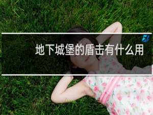 地下城堡的盾击有什么用