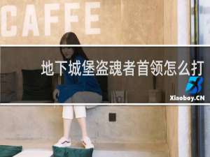 地下城堡盗魂者首领怎么打