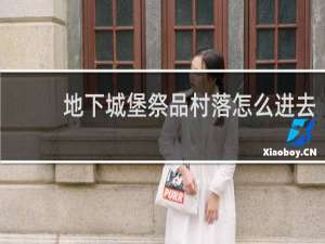 地下城堡祭品村落怎么进去
