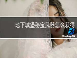 地下城堡秘宝武器怎么获得
