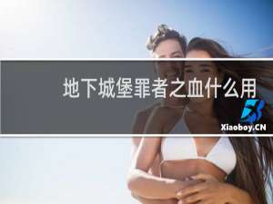 地下城堡罪者之血什么用