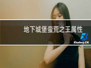 地下城堡蛮荒之王属性