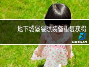 地下城堡裂隙装备重复获得