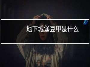 地下城堡豆甲是什么