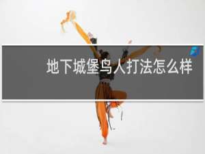 地下城堡鸟人打法怎么样