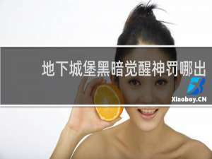 地下城堡黑暗觉醒神罚哪出