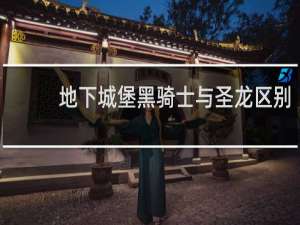 地下城堡黑骑士与圣龙区别
