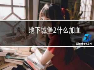 地下城堡2什么加血