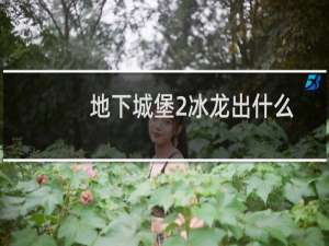 地下城堡2冰龙出什么
