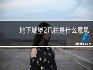 地下城堡2几柱是什么意思