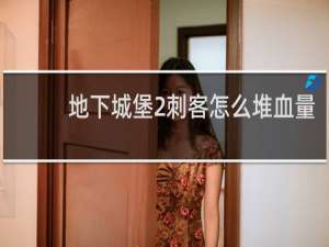 地下城堡2刺客怎么堆血量
