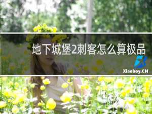 地下城堡2刺客怎么算极品