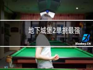 地下城堡2单挑最强