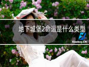 地下城堡2命运是什么类型