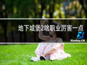 地下城堡2啥职业厉害一点