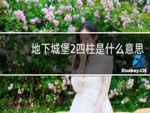 地下城堡2四柱是什么意思