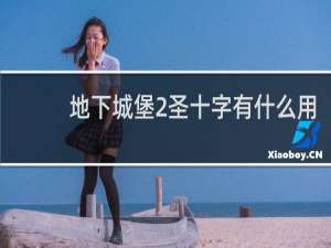 地下城堡2圣十字有什么用