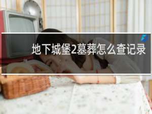 地下城堡2墓葬怎么查记录