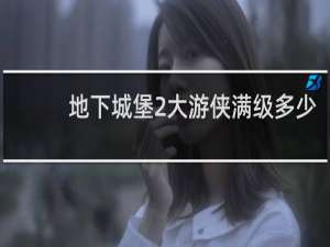 地下城堡2大游侠满级多少