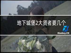 地下城堡2大贤者要几个