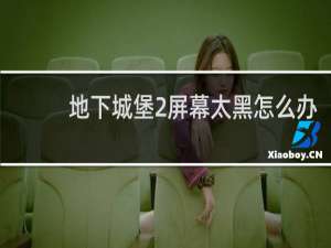 地下城堡2屏幕太黑怎么办