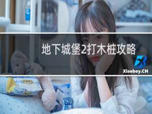 地下城堡2打木桩攻略