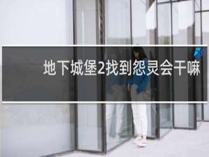 地下城堡2找到怨灵会干嘛