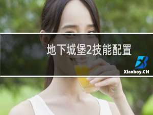 地下城堡2技能配置