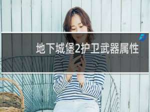 地下城堡2护卫武器属性