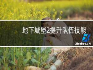 地下城堡2提升队伍技能