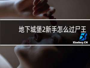 地下城堡2新手怎么过尸王