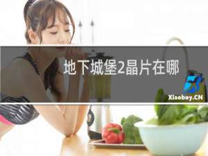 地下城堡2晶片在哪