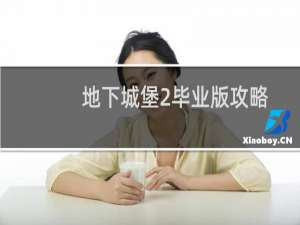 地下城堡2毕业版攻略