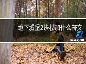 地下城堡2法杖加什么符文