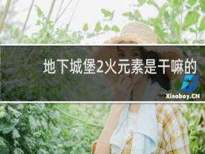 地下城堡2火元素是干嘛的