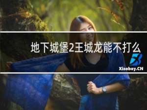 地下城堡2王城龙能不打么